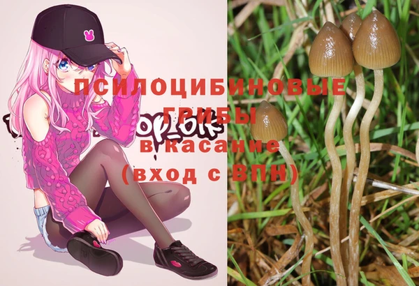 MDMA Premium VHQ Нефтегорск