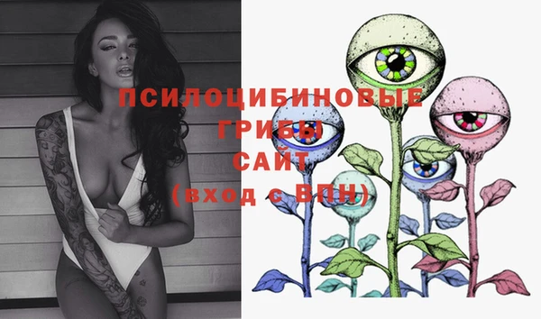 соль ск Нефтекумск